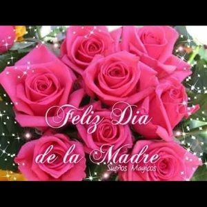 Meet your Posher, Odalys